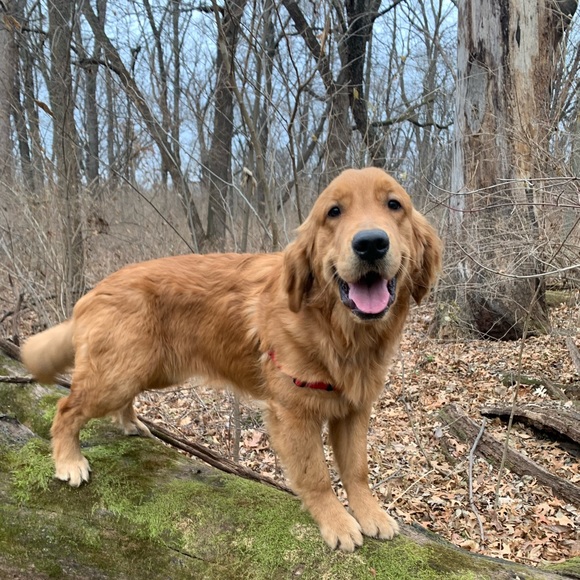 Meet your Posher, Kate - Picture 8 of 9